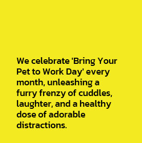 Bring your Pet Text