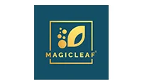 Magic Leaf Color Logo