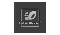 Magic Leaf Logo