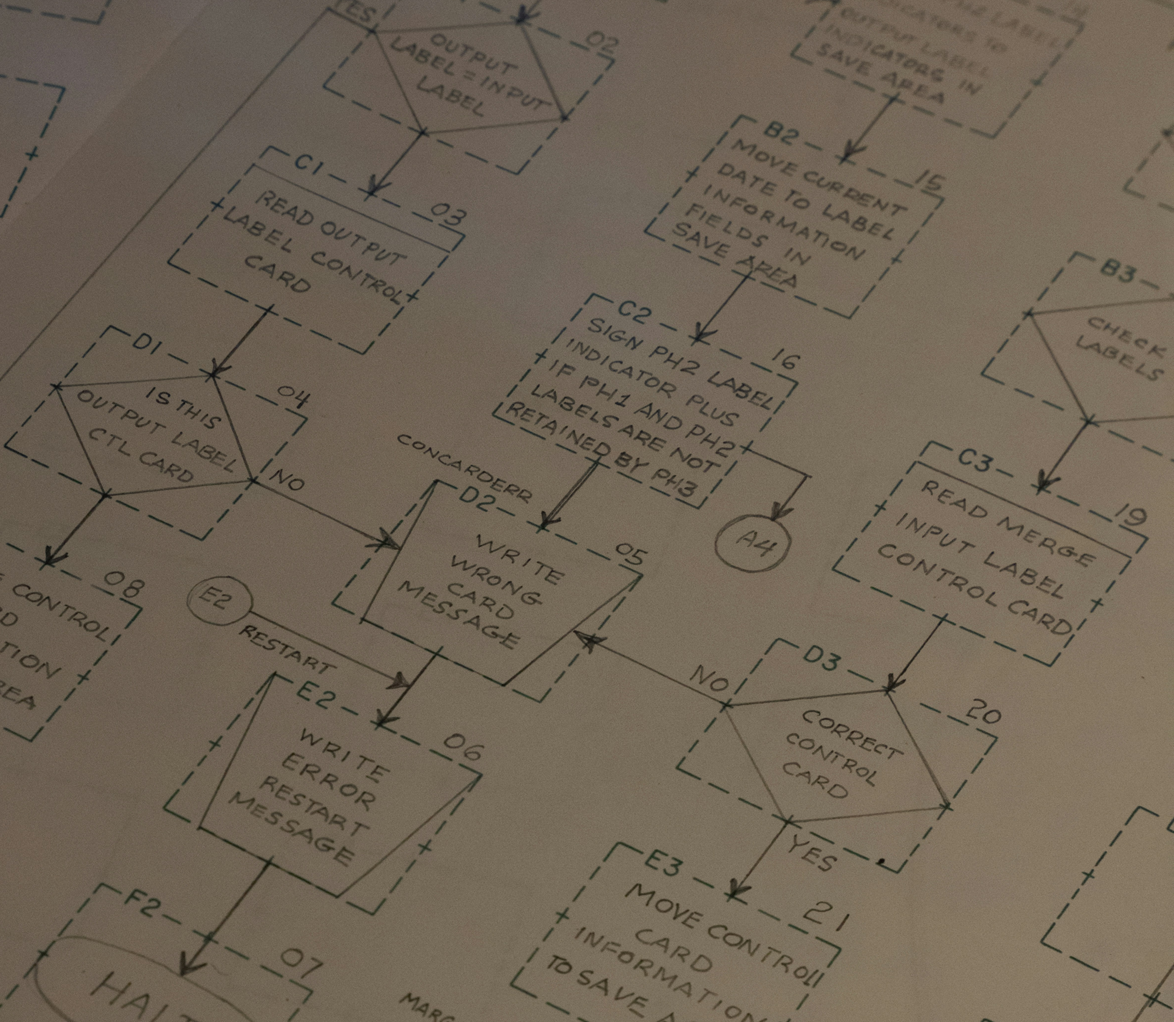 Email automation by The Brand Bee